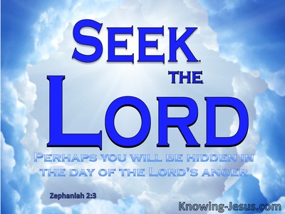 Zephaniah 2:3 Seek The Lord (blue)